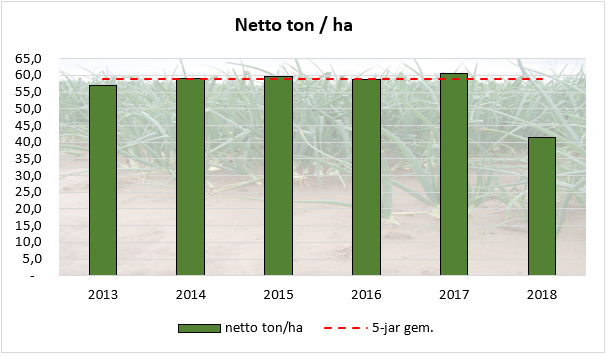 areaal uien 2018 wederom uitgebreid