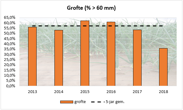 areaal uien 2018 wederom uitgebreid