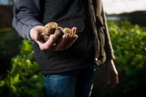 Telers, stel je inschatting compensatieregeling bij!