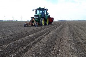 Najaarsploeg versus voorjaarsploeg: Groenbemester wint