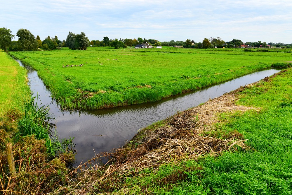 Project FAB+ zet in op meer natuurlijke plaagbestrijding