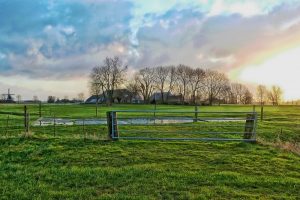 “De boeren die nu vooraan staan, zullen het redden”