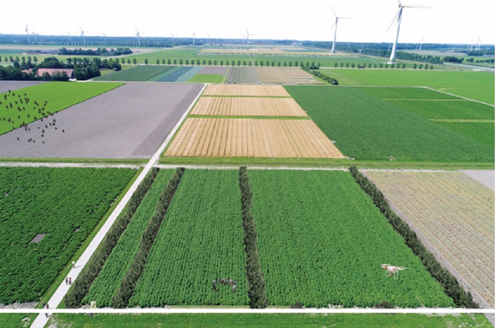 WUR start eerste grootschalige onderzoeksfaciliteit agroforestry