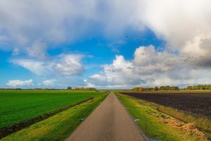 Vijf toekomstbeelden over landbouwsector in 2050