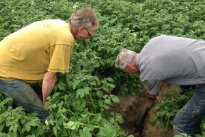 Verbetering bodem- en waterkwaliteit in de Noordoostpolder