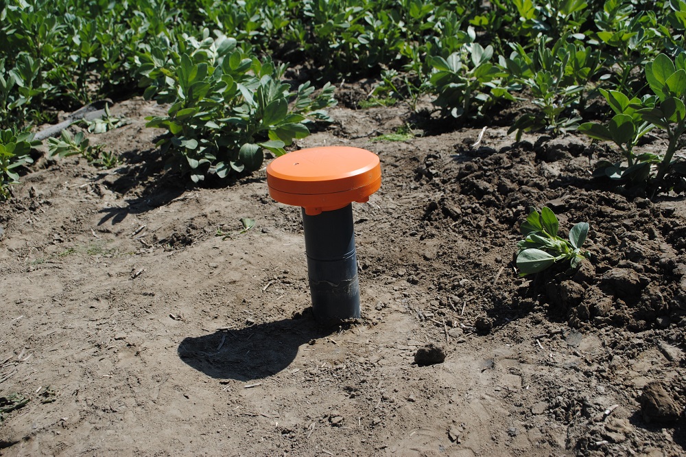 Groninger akkerbouwers ‘pinnen’ verzilting