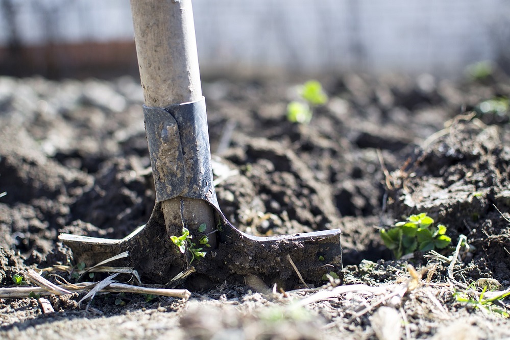 Schoner water en meer biodiversiteit door beter bodembeheer