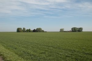 Van lineaire naar circulaire schuurbouw