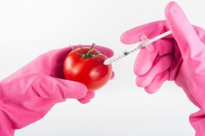 WUR geeft CRISPR intellectueel eigendomsrecht gratis weg in de strijd tegen honger