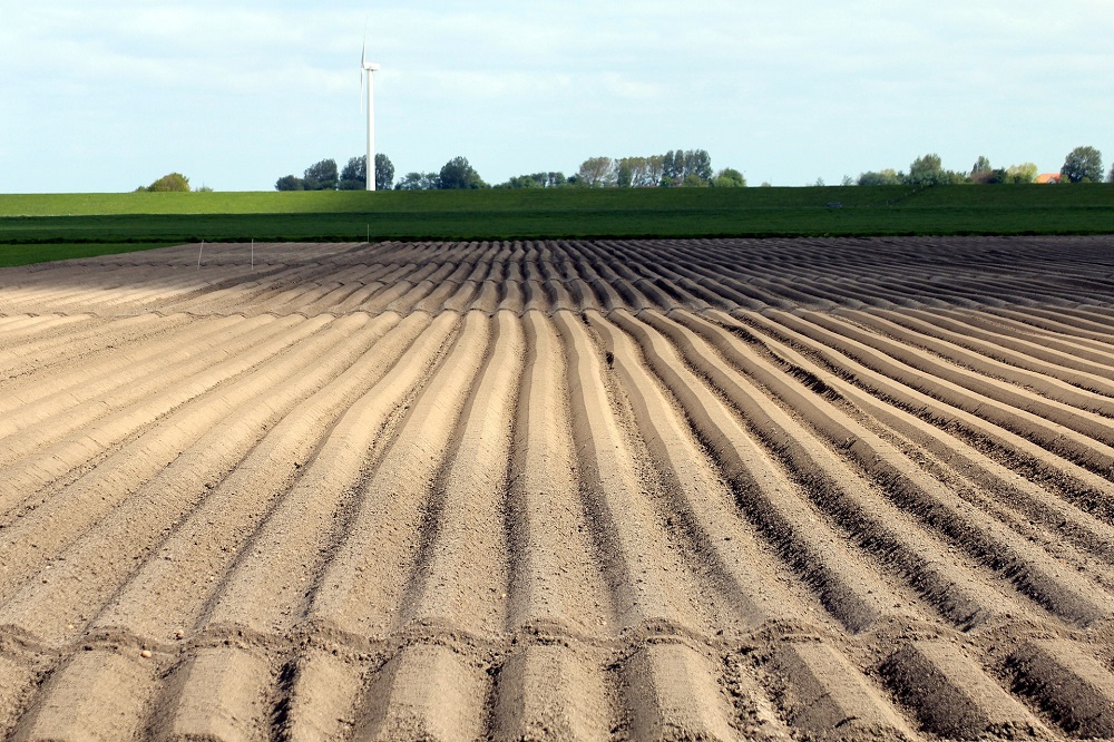 Financiële coronasteun voor land- en tuinbouw toegankelijk