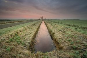 kkerbouw heeft grote zorgen over aanvullende nitraatmaatregelen