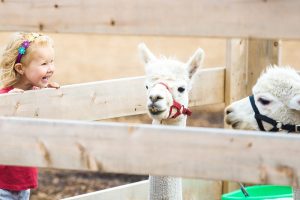 Zorgboerderij als verdienmodel