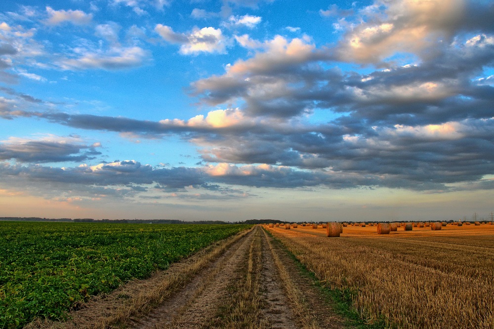 Investeringen in de akkerbouw afgenomen