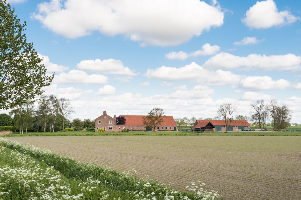 Vertrouwensindex akkerbouwers daalt 4 punten