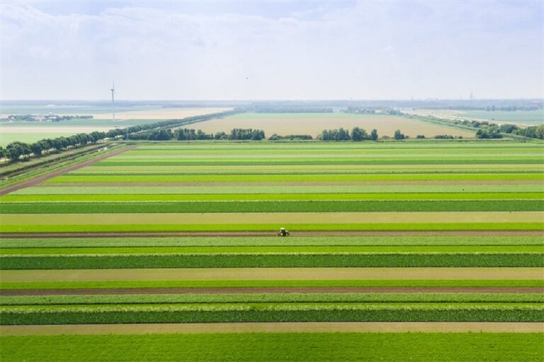 Duurzaam en toch hoogproductieve akkerbouw - deel 1: strokenteelt