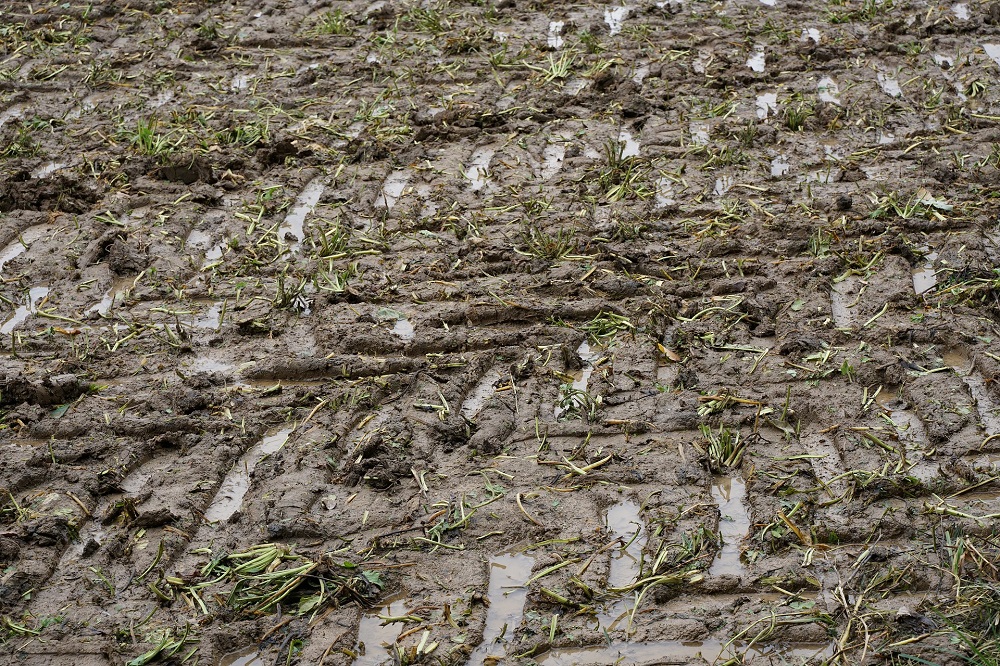 Wil je bodemverdichting oplossen, blijft je gewasgroei achter of heb je door het regenachtige voorjaar veel natte plekken op jouw perceel? Vraag nu nog een gratis bodemadvies aan via de nieuwe website van het DAW.