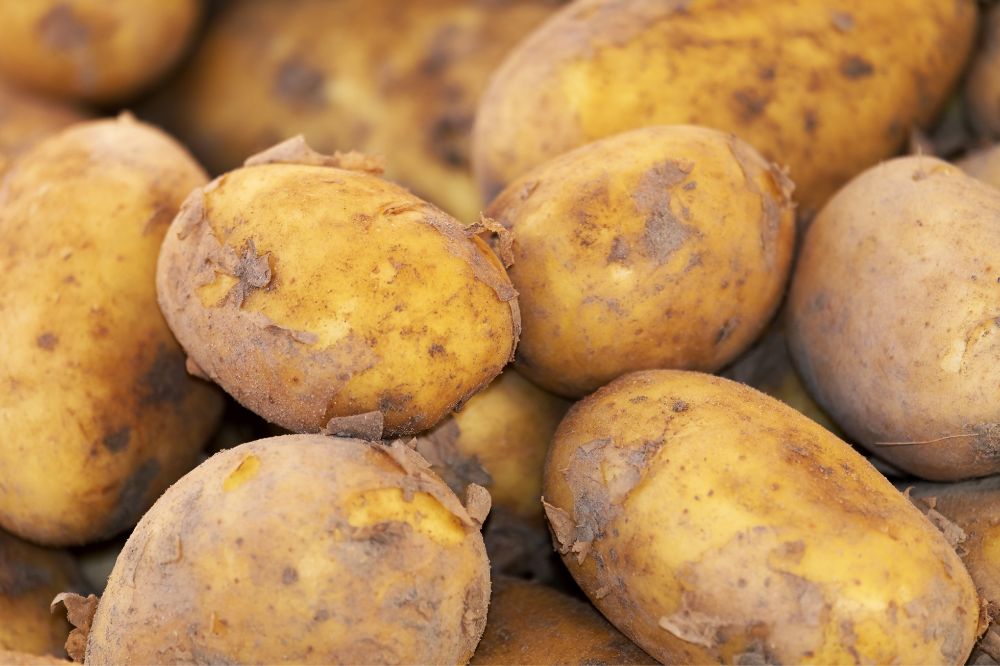 Service2Potato: transparante markt en eerlijke prijs aardappelen