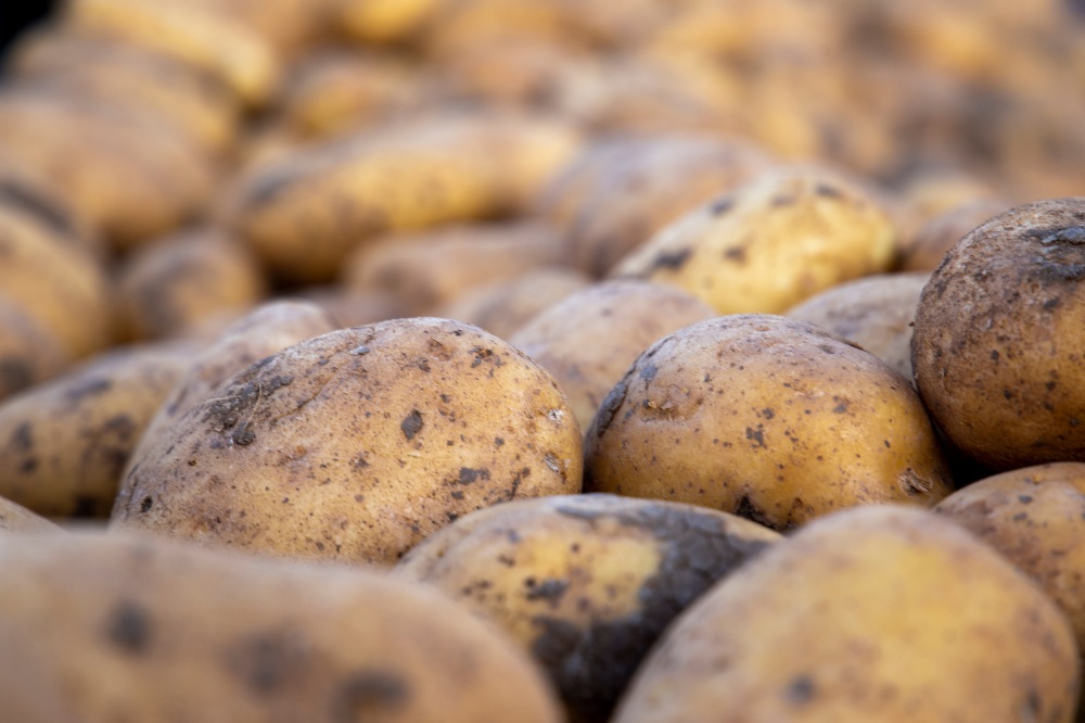 Ketenkwesties: (Ver)koop van aardappelen is toe aan vernieuwing