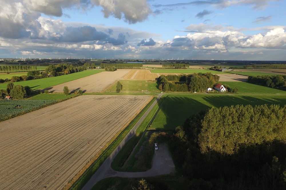 Weerbare teeltsystemen in de akkerbouw: huidige stand van zaken