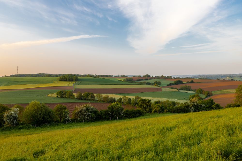 Limburgse boeren nemen maatregelen tegen wateroverlast