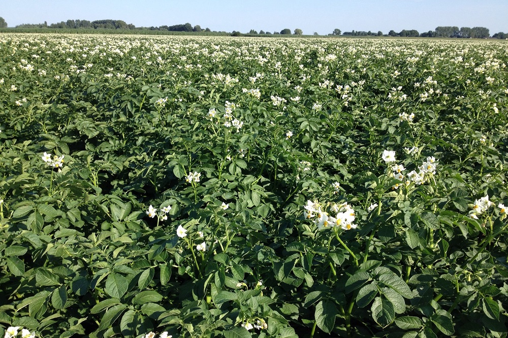 Landbouwminster Wiersma op bezoek in Zeeland