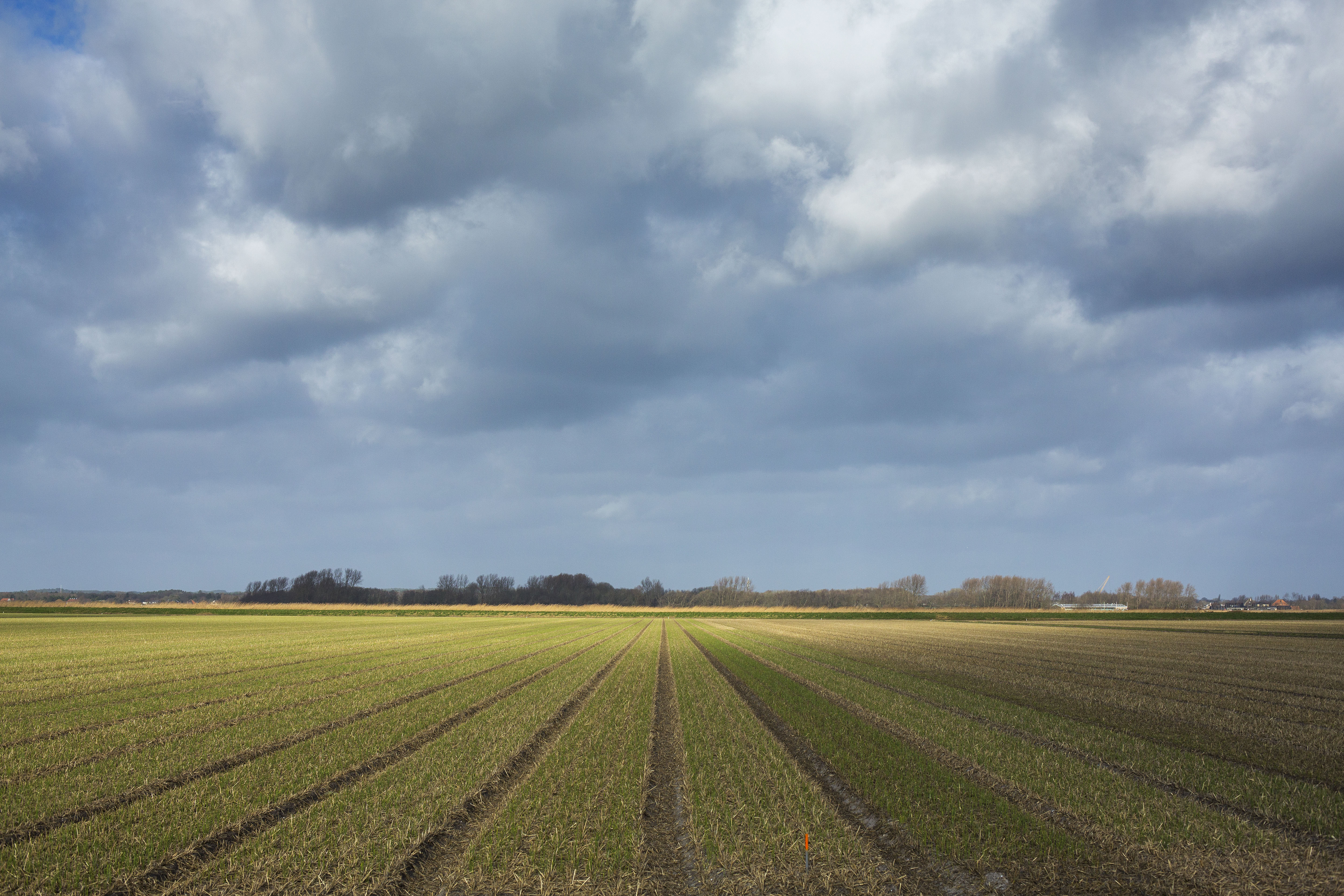 Ruim drie miljoen voor verduurzamen agrarische bedrijven