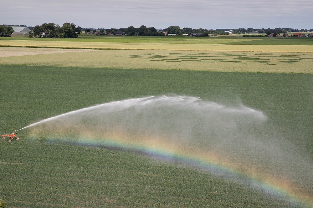 'Het water is zouter dan we denken'