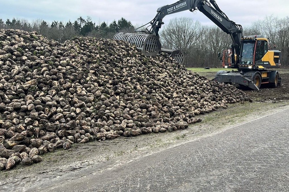 Zeep kan duurzamer: nu ook uit suikerbietpulp