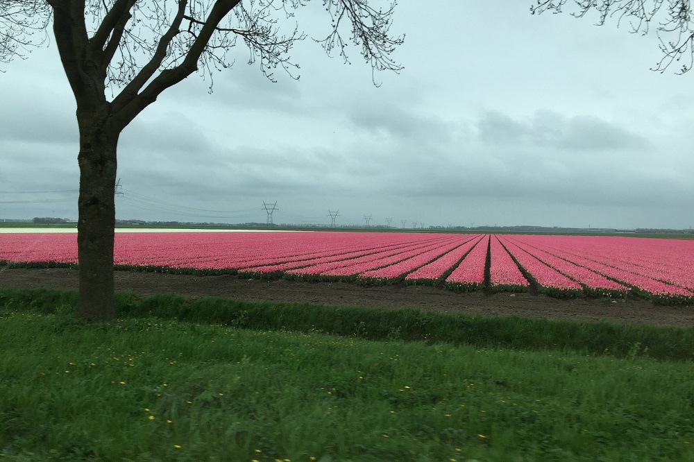 Daling van gewasbeschermingsmiddelen in het oppervlaktewater