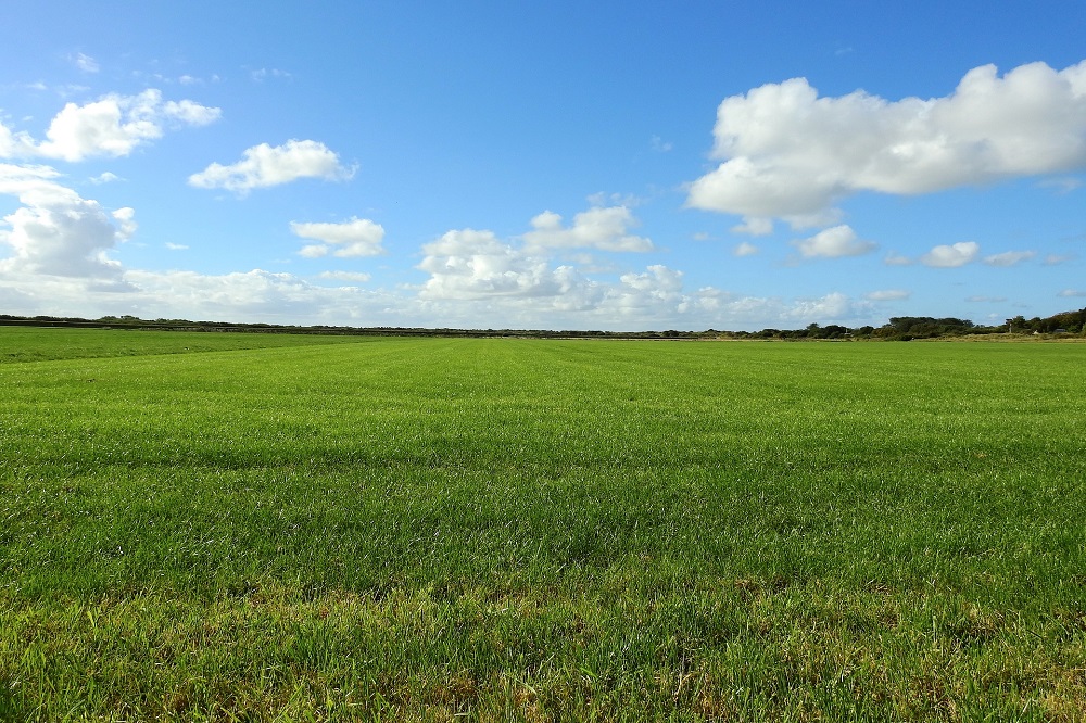 Fertigatie in het Zeeuwse grasland