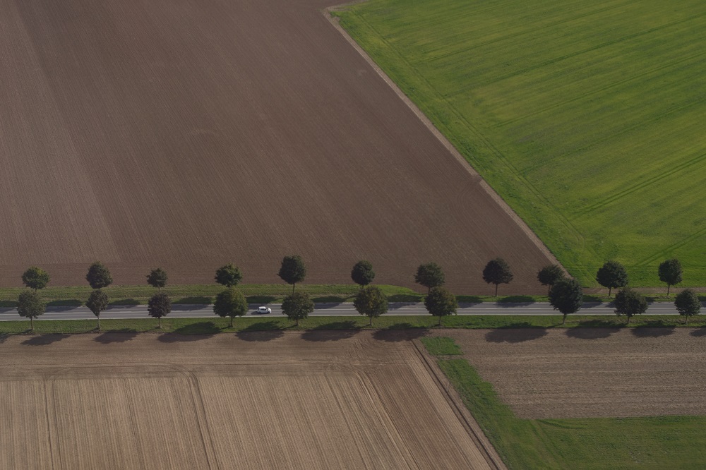 Vreemd vermogen landbouwbedrijven afgenomen