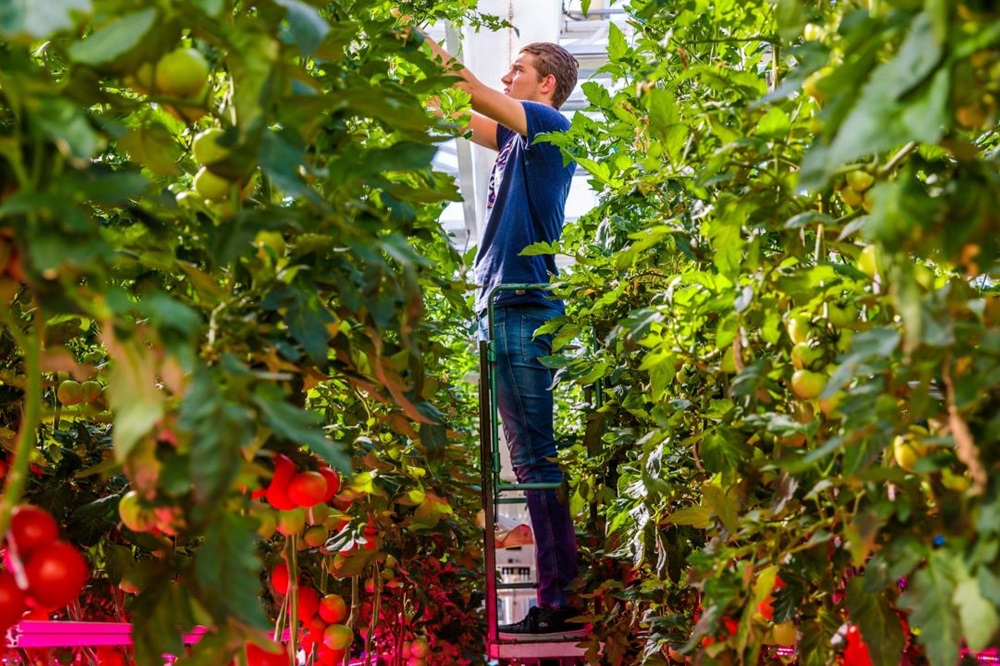 Groene hogescholen zetten volgende stap als onderzoekscoalitie