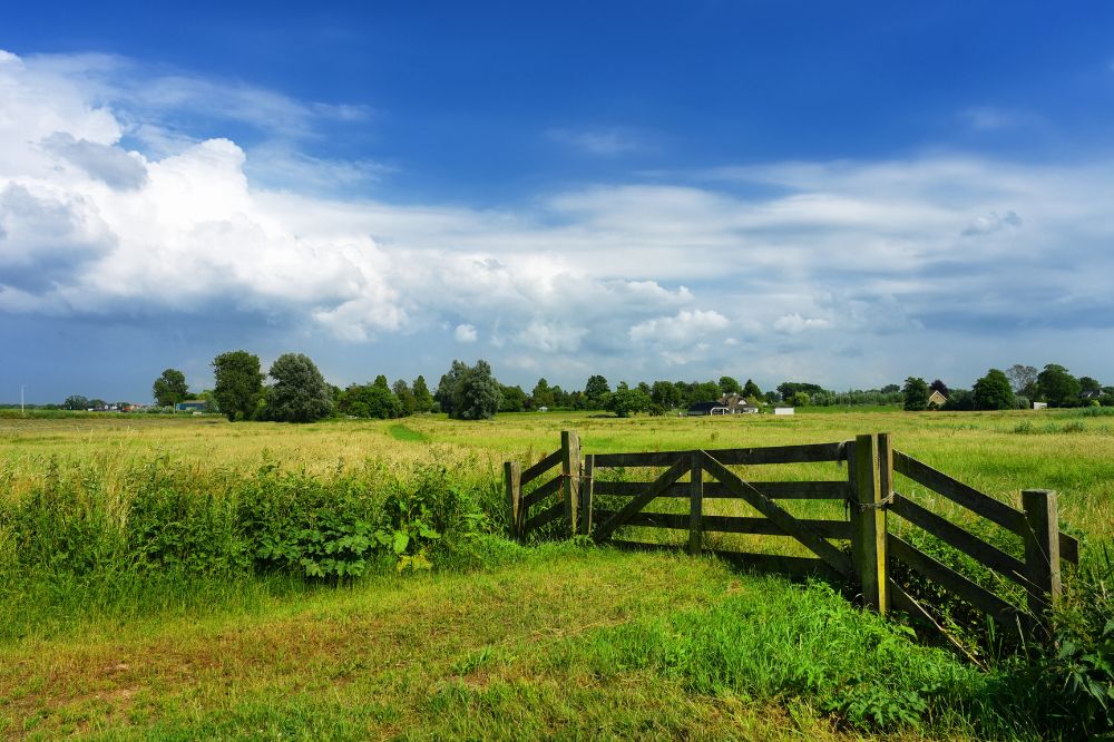 NAV wil extra geld agrarisch natuurbeheer inzetten als natuurcompensatie