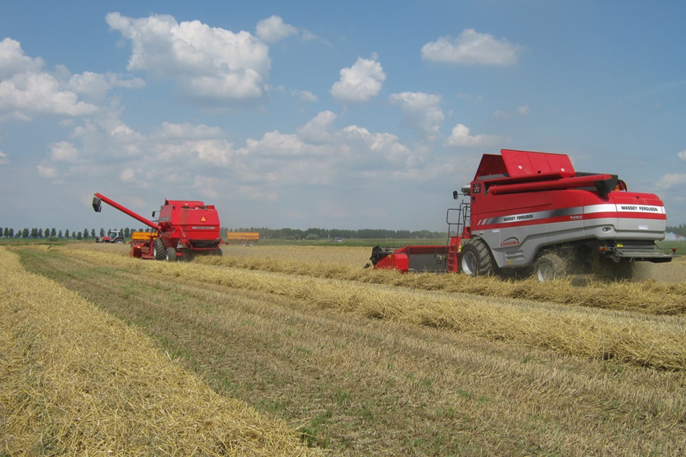 Kees Blaak: "Veel lager in onderhoud met MF-combines"