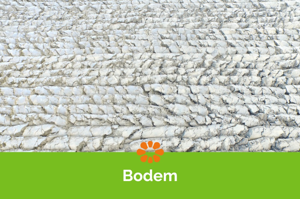 Bodem