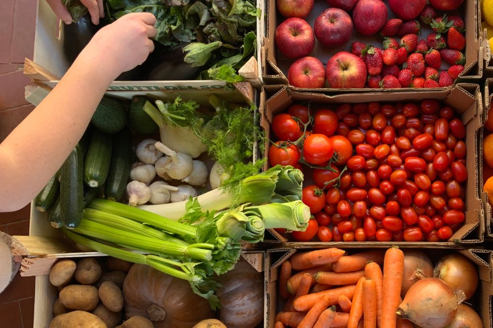 Exportwaarde van aardappelen en uien groeit beperkt