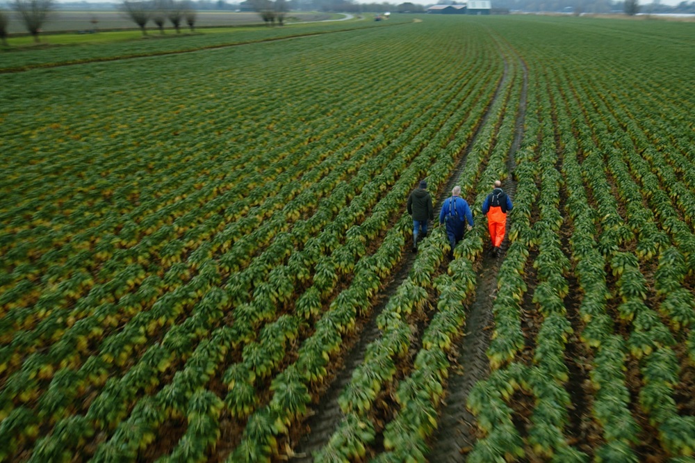 Van Iperen hoofdfoto