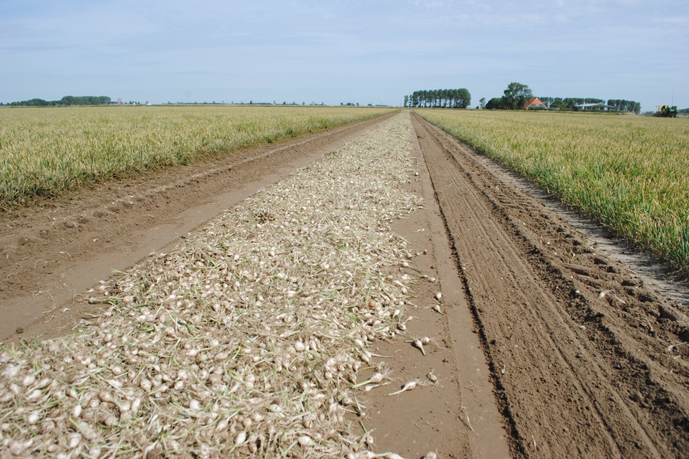 Plantuienseizoen 2025 is van start