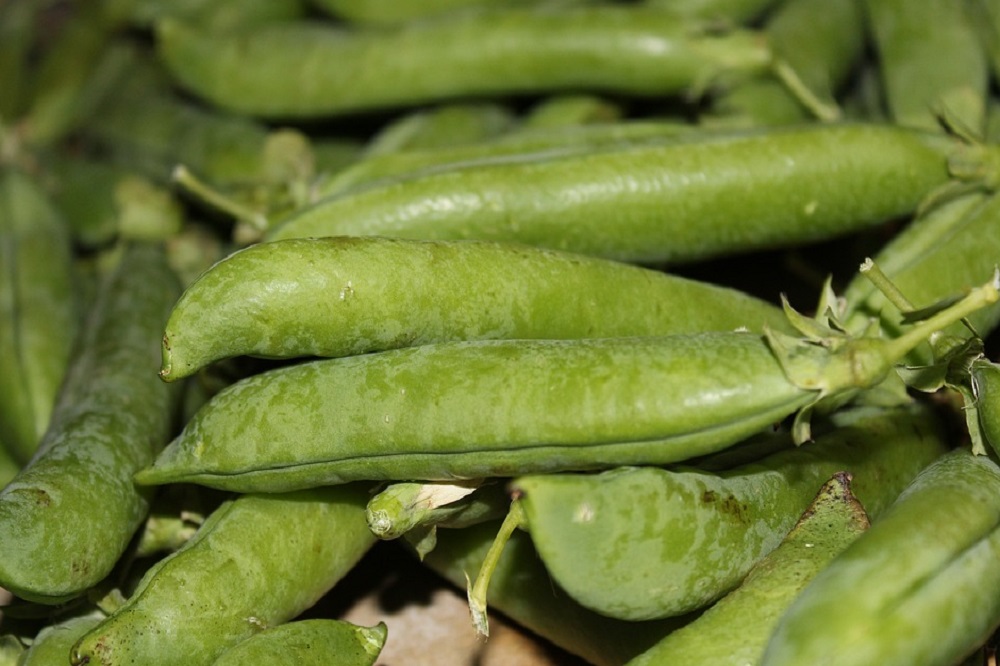 Met BEANMEAL meer peulvruchten op het menu