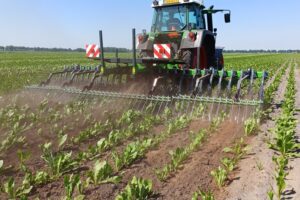 Akkerbouwer Harry investeert met DAW-regeling in mechanische onkruidbestrijding