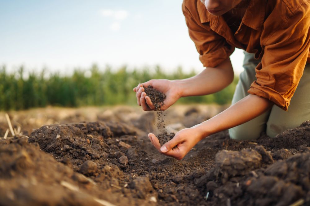 Wolterra gecertificeerd als eerste wolkorrel-aanbieder voor biologische landbouw